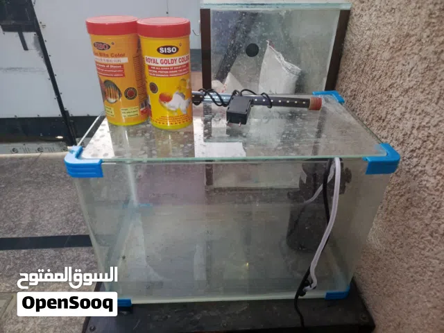 حوض اسماك حجم وسط زجاج مع لد مع فلتر مع اكل اسماك ناعم وخشن مع هيتر السعر 40