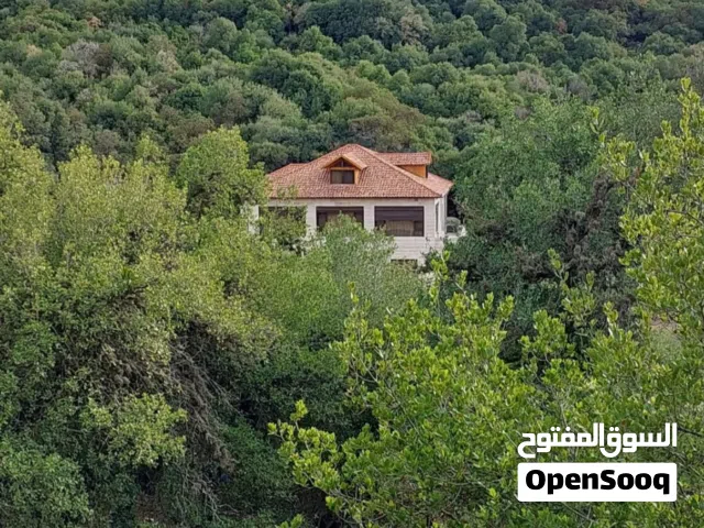 4 Bedrooms Chalet for Rent in Ajloun I'bbeen