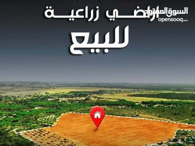 Commercial Land for Sale in Baghdad Mahmudiyah