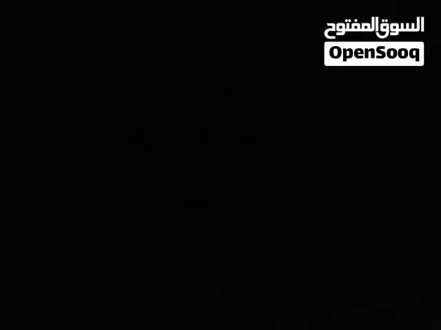 بدي كلب التبني او للبيع بسعر أرخيص للحراسه