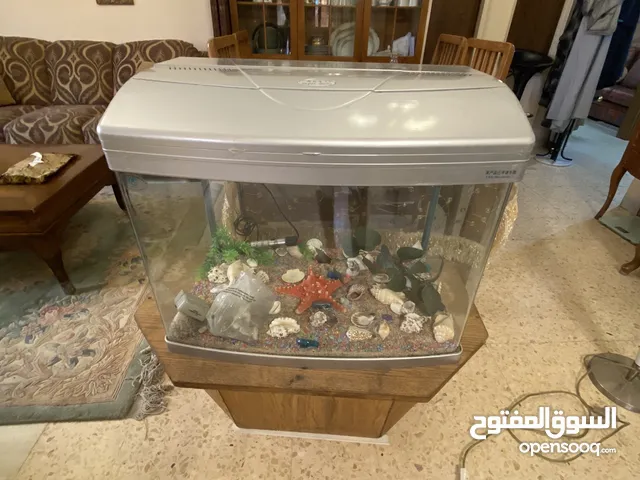 حوض سمك حجم وسط للبيع
