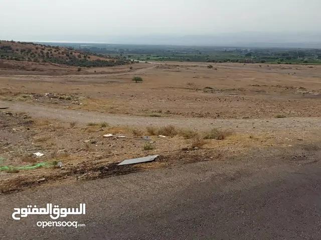 أرض للبيع الغور لشاليه سكن ج منطقة الهلالي سعر مميزجدا