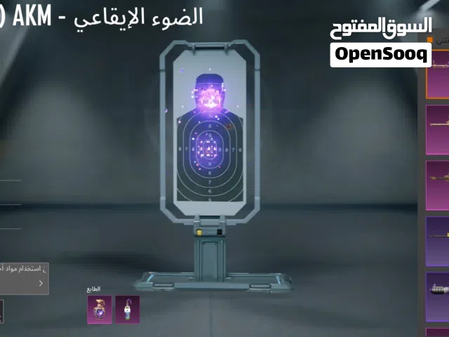 Pubg Accounts and Characters for Sale in Muscat