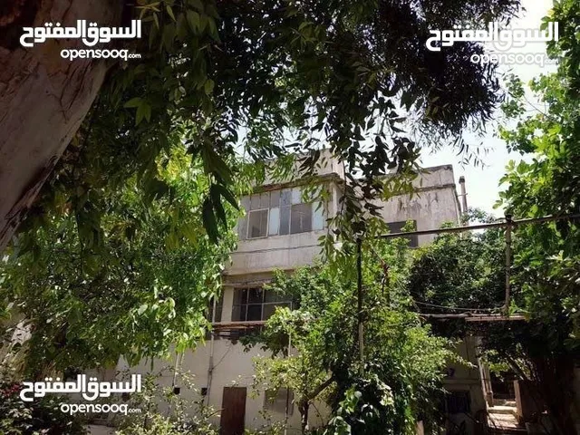 385 m2 4 Bedrooms Townhouse for Sale in Amman Swelieh