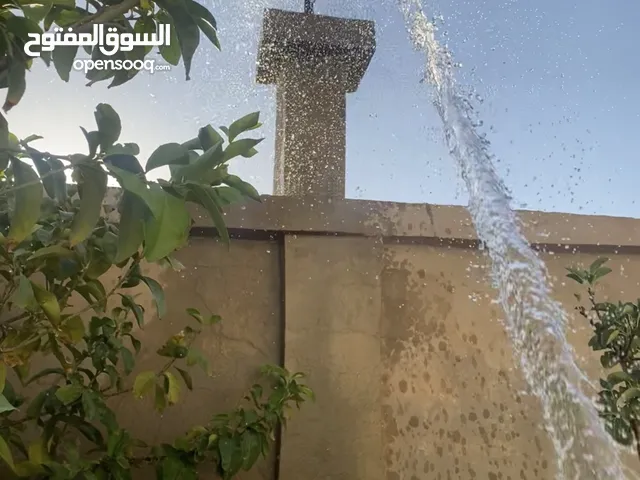كواشف كهربائية بسعر جمله من المصدر وضمان جماعه المتاجر في تسهيلات