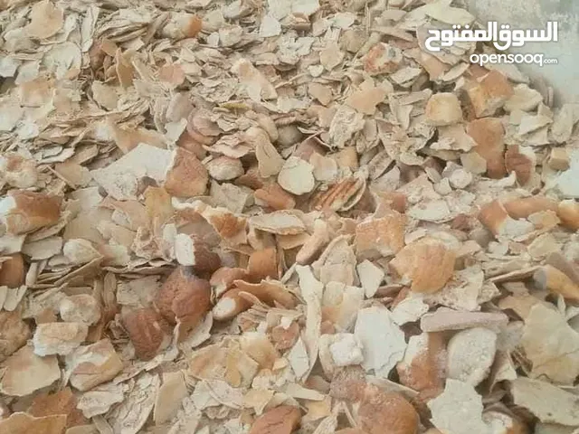 خبز ناشف نضيف