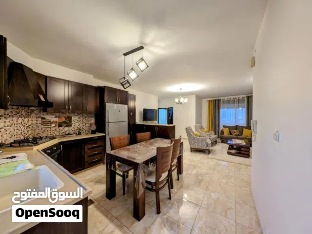 أمير نادر نادر