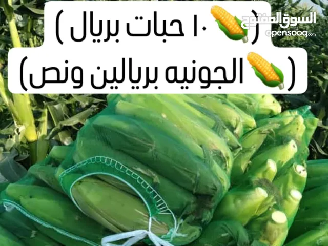 ذره سكريه و لمبا حامض (حدال)