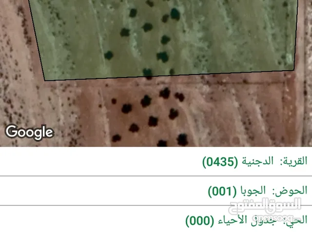 Farm Land for Sale in Mafraq Al-Dajaniya