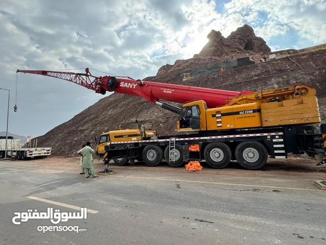 220-160-130-100-80-50-30 ton PDO/ OXY approved crane available on reasonable rent in muscat