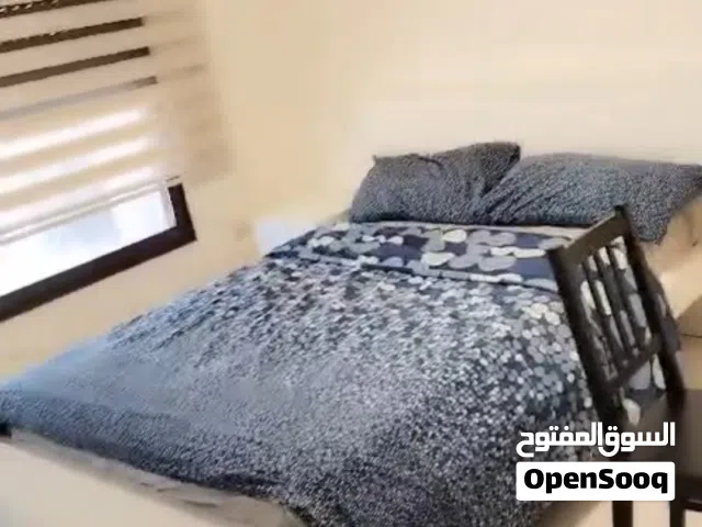 ستوديو مفروش للايجار في منطقة الجامعة