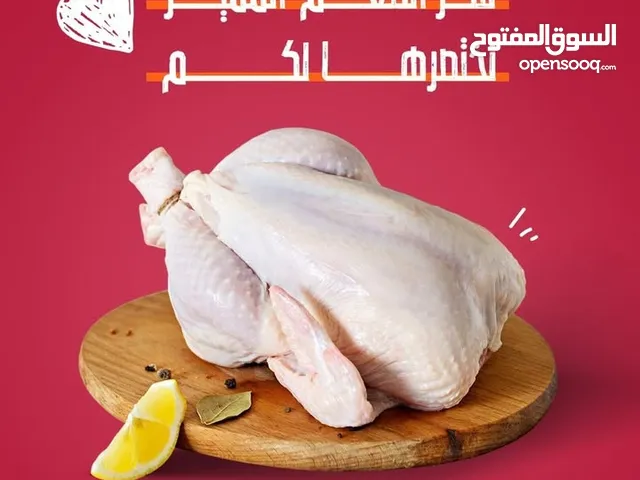 دجاج طازج انتاج مزارع ابوظبي العين