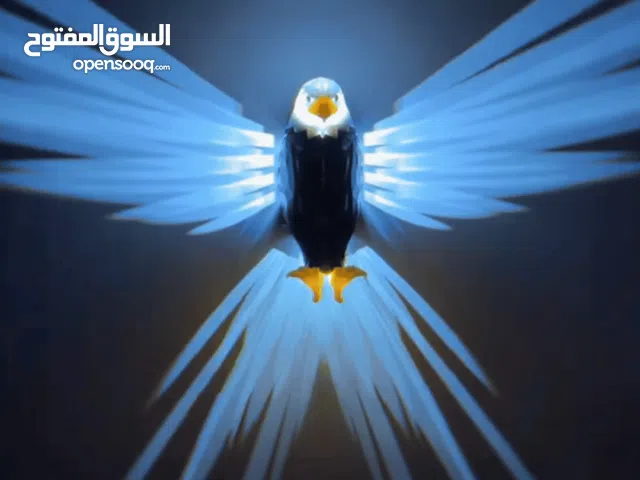 إنارة جدارية على شكل صقر للبيع