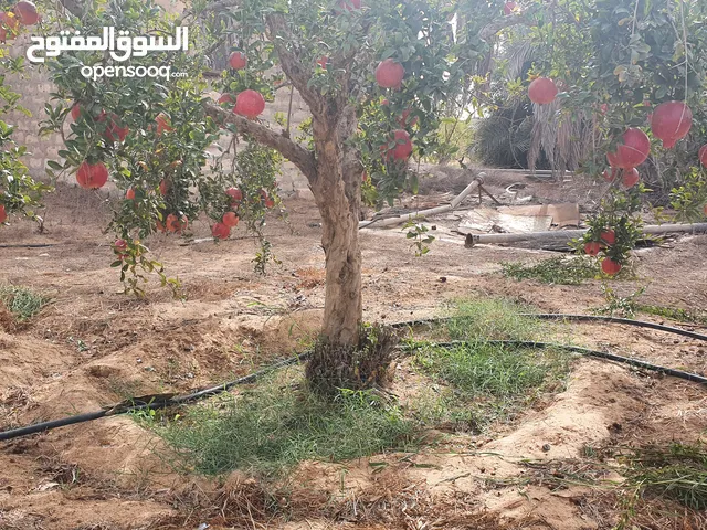2 Bedrooms Farms for Sale in Zawiya Other
