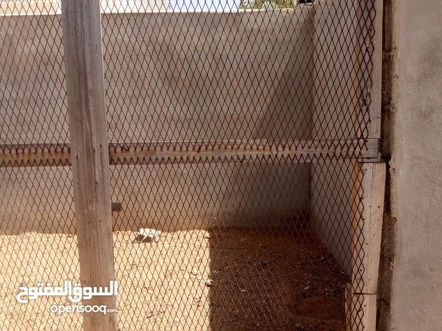 السلام عليكم عندي راتي بكلاوة درجة الاولى مترو في زواج متر يمشي للدجاج اوحمام ومعه حبيلة