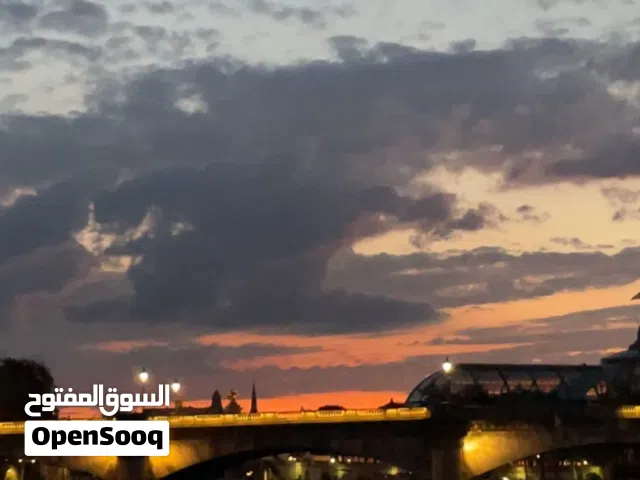 ابي قطط للتبني اناث صغار لو موجود كلمني