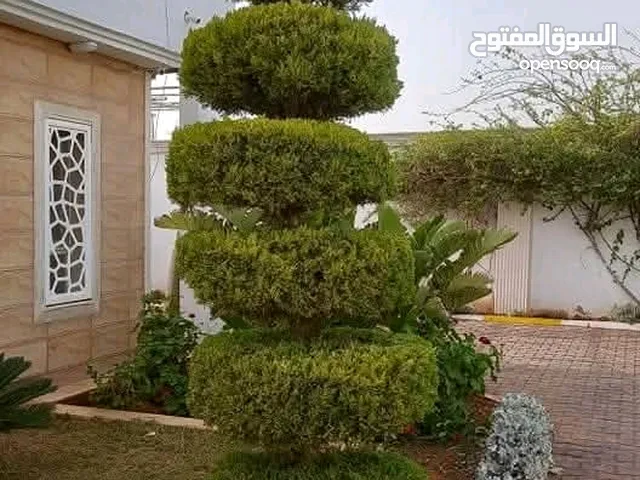 شتلات زراعيه وتنسيق حدايق