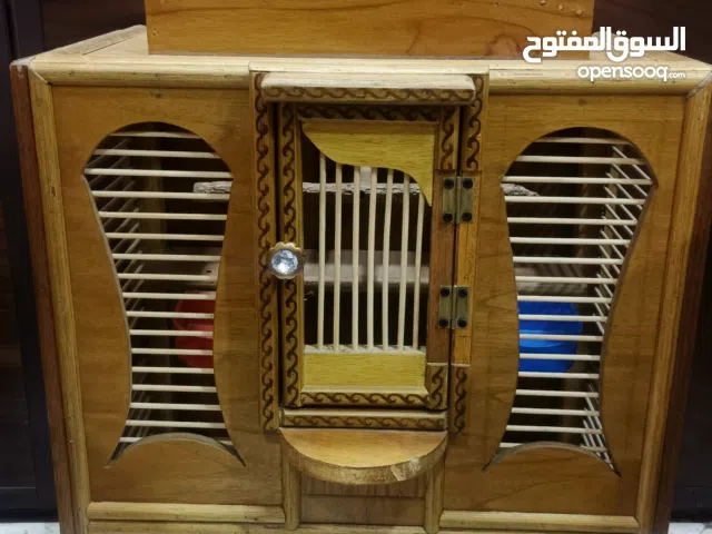 قفص بلابل أو طيور حب أو أي نوع من الطيور الصغيرة المغردة