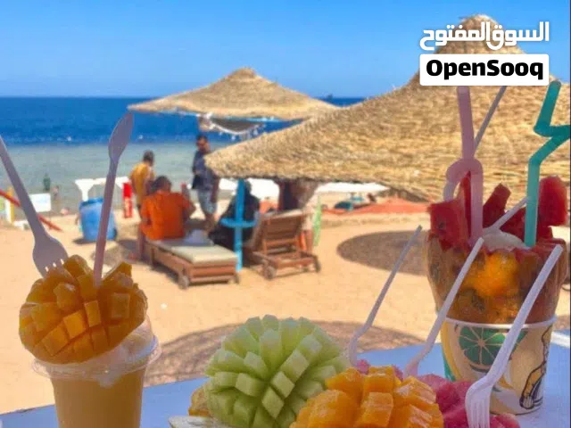200 m2 Studio Villa for Rent in Alexandria North Coast
