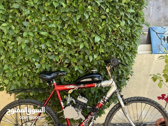 Motorized cycle