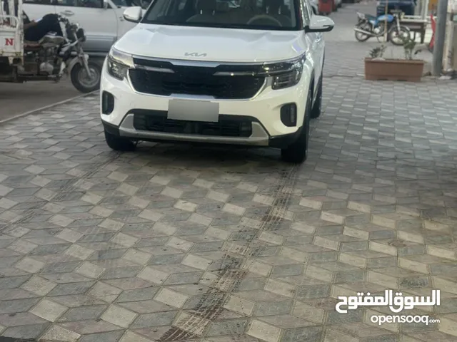 سيلتوس 2024