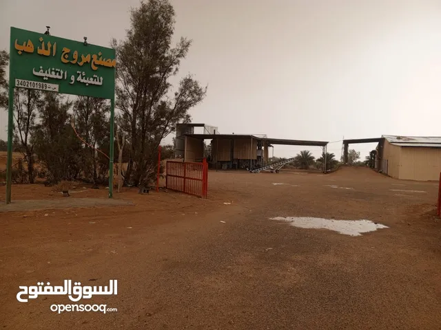 مصنع غربال تعبئة وتغليف وتنقية بذور قمح وشعير