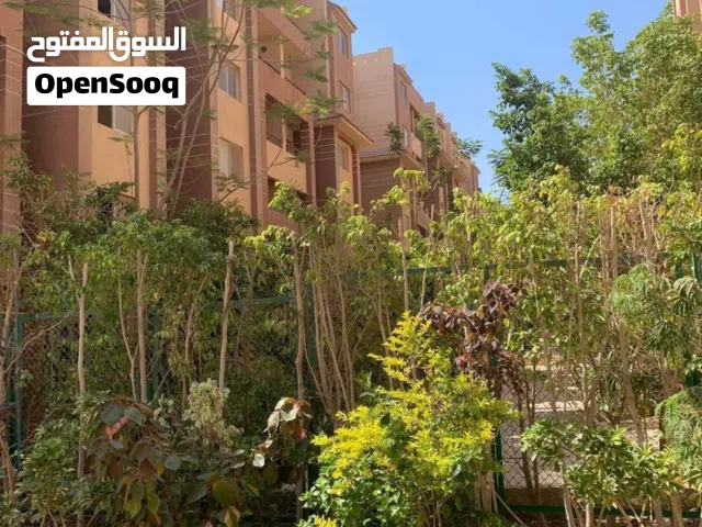 80 m2 2 Bedrooms Apartments for Rent in Giza 6th of October