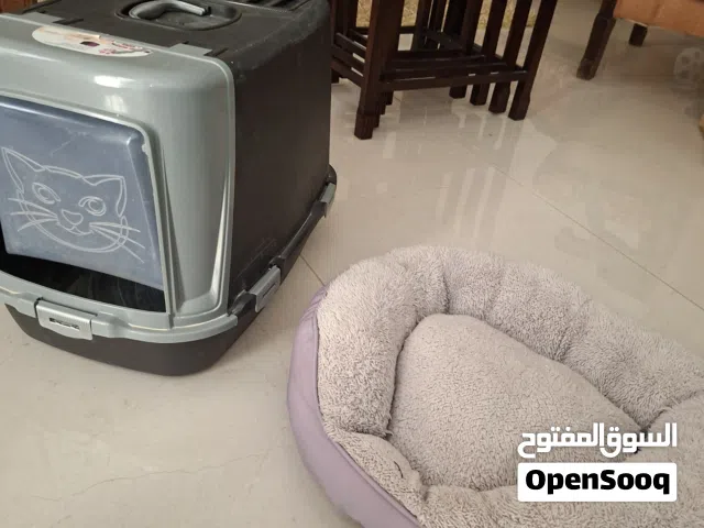 وساده و بوكس رمل للقطط مستعمل للبيع