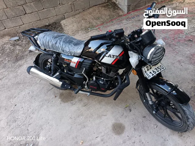 2025 دايونغ اخرى
