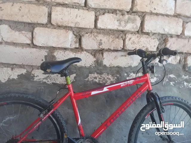 دراجه رقم 24 ربي يبارك صناعه ايطاليا اسمها(EUROPEAN STANDARD) اقرى الوصف