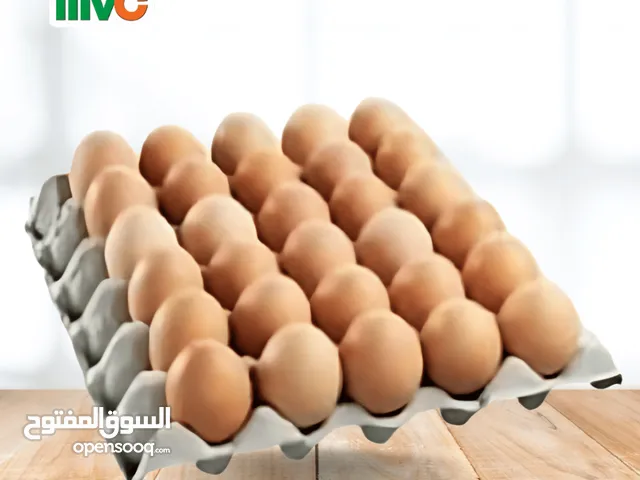 متاح بيض بلدي طازج ومخصب