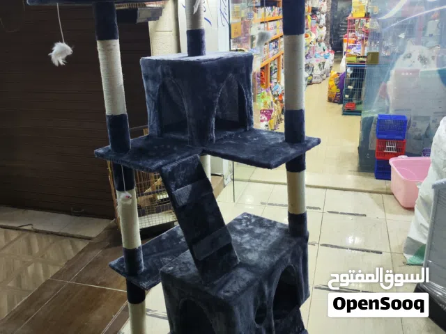 خداشة قطط اكبر حجم ع مستوى العالم بسعر مرتب شوف الريلز ، و احممي اثاثك من التخديش تكفي 10 قطط