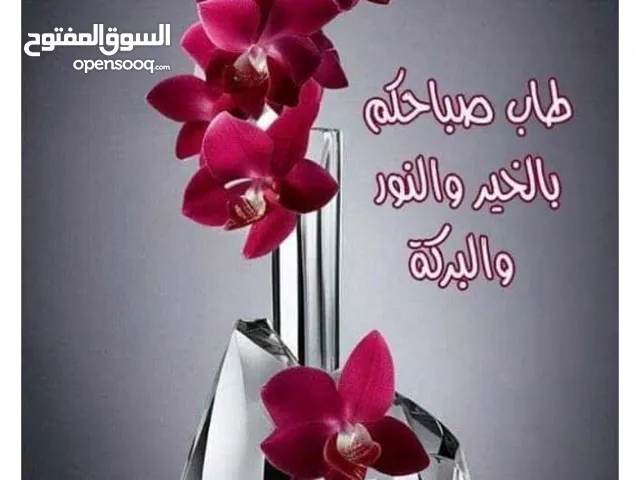 كراسي سفره