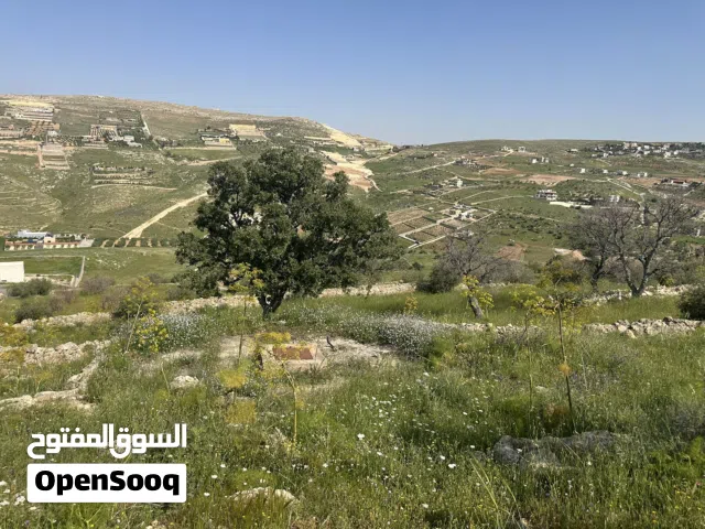 Farm Land for Sale in Zarqa Sarout