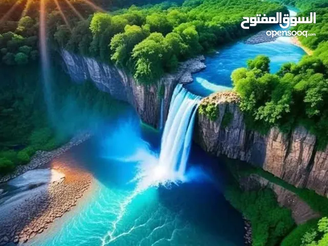 شاب مصري يبحث عن شغل خارج مصر العمر29سنة خبير في مجال الزراعة والحراسة والتعامل مع الاخرين