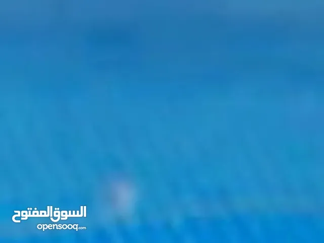 هنقر ف طريق الشوك صناعة جديده مكان شارع اللبيب
