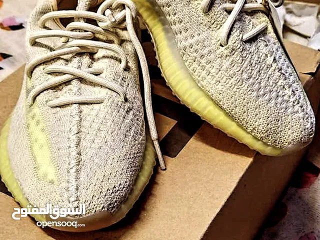 addidas beige yeezy
