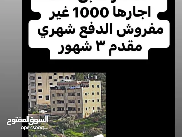 شقه للايجار