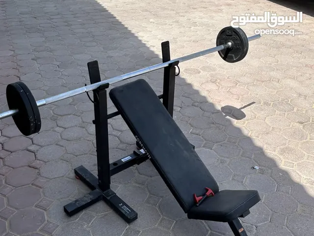 corength seat incline press fold