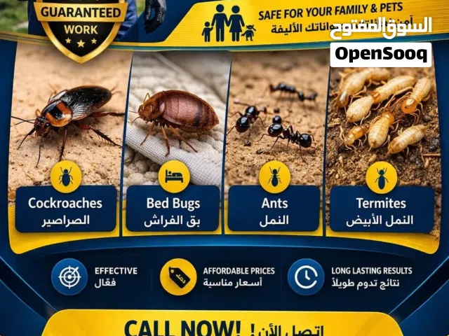 مكافحة الحشرات البحرين