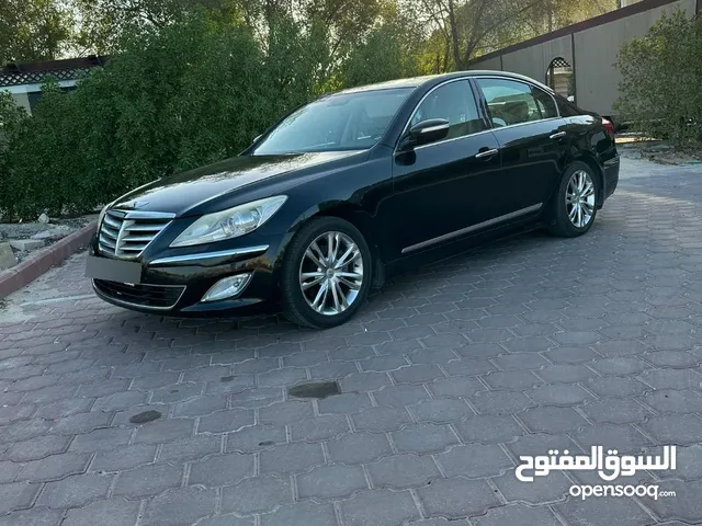 New Genesis G80 in Kuwait City