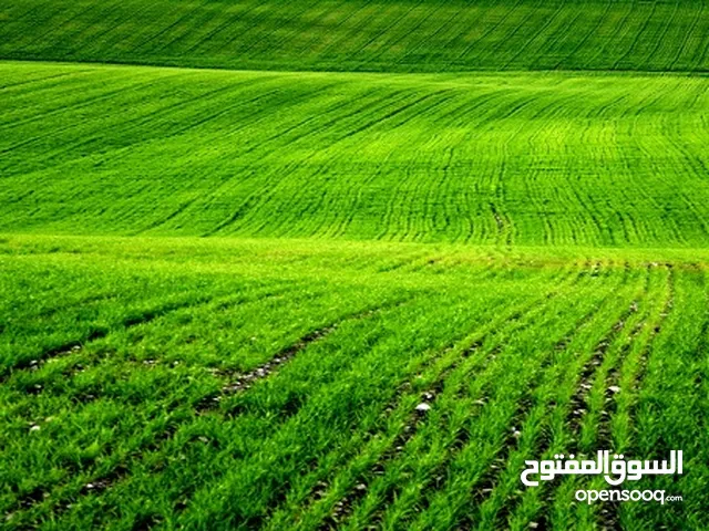 Residential Land for Sale in Irbid Other