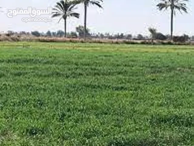 Mixed Use Land for Sale in Sohag Awlad Naseer
