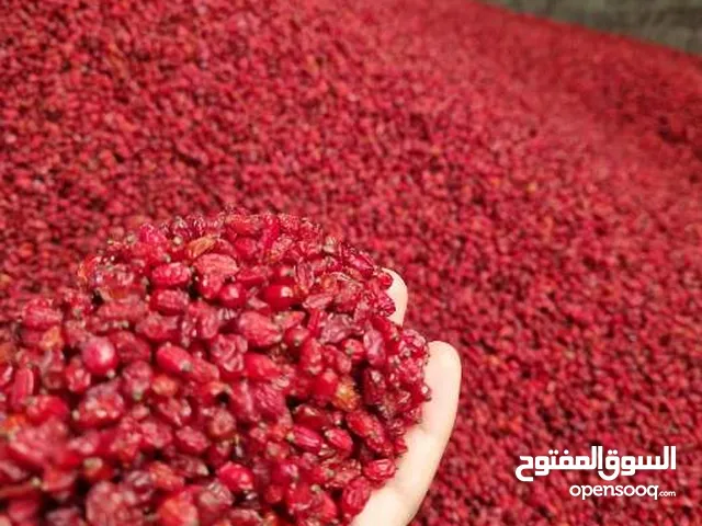 بعد البرباریس المجلسی الإیراني من أفضل المزارع الزراعیة وأکثرها جودة