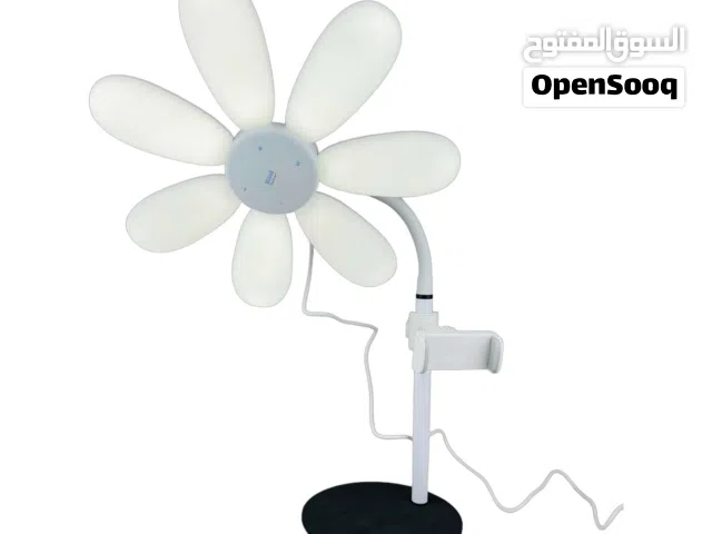 باله رنك لايت 12 انج