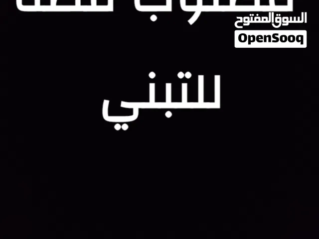 مطلوب قطه للتبني