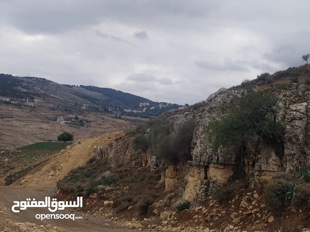 Farm Land for Sale in Jerash Tal Al-Rumman