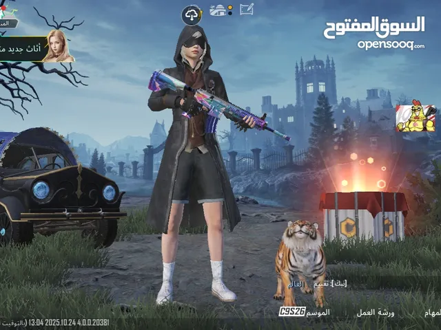 Pubg Accounts and Characters for Sale in Al Rayyan