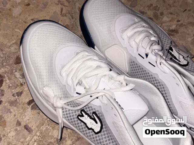 ابعث واتس في فيديوهات كمان كله ماركات ستوكات