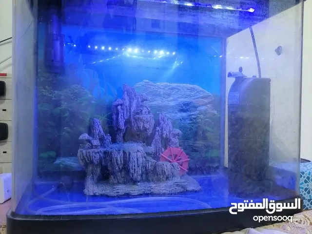 حوض سمك للبيع Fish Tank for sale